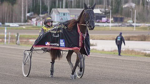 Nothingcomes, Jukka Hakkarainen