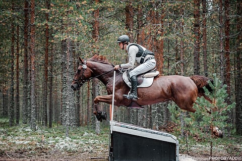 Sami Siltakorpi ja oma nuori Best Day starttasivat Niinisalossa ja seuraavaksi vuorossa ovat kisat Porissa. 