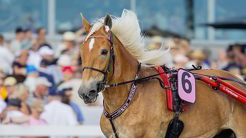 Mahdollisimman vähillä varusteilla kilpaileminen on yleistynyt viime vuosien aikana. Kuvassa Suven Sametti.