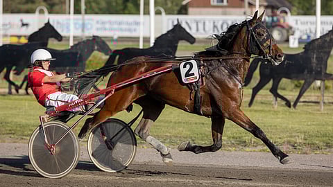 Elina Leinonen, Zagat