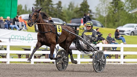 Ilkka Korpi, Lil Ikigai