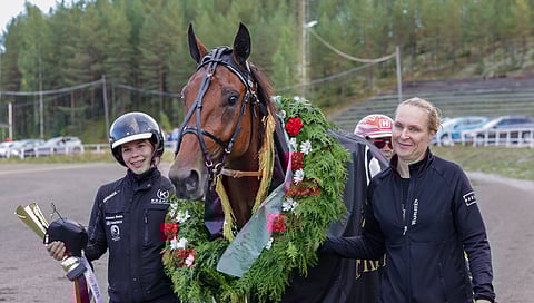 Anselmi Klubin omistama ja Kikka Klubin kasvattama Ancio on vuoden 2025 Kriteriumin sankari.