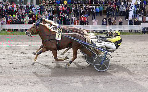 Camppari (7) piti Retostellan niukasti takanaan.