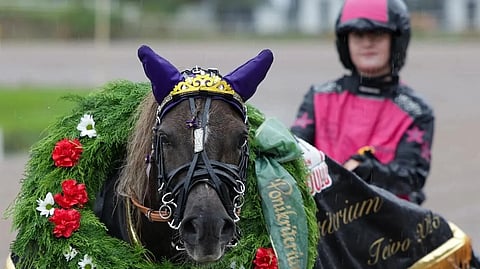 Isla Ruhkalan ohjastama Tuutu Lulla nappasi Ponikriteriumin voiton.