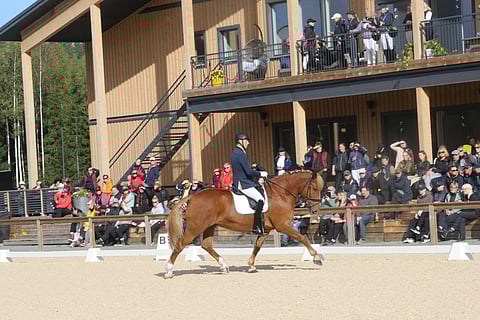 Vekardo ja Lassi Lehmusto kärkeen, luonnollisesti. 