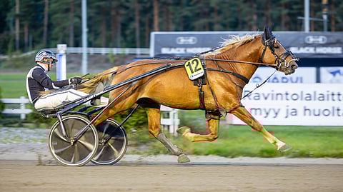 Vipinän Vihellys, Heikki Mikkonen