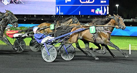 Ravit Vincennes