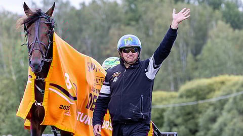 Return Of Wurst Tenho Roth 