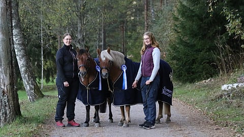 Ponien Suomen mestari Aino Leino (oikealla) ja groomi Asta Leino.