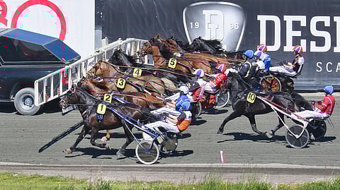Elitkampen on yksi Elitloppet viikonlopun odotetuimmista lähdöistä, ja siinä suomenhevoset ja kylmäveriset kilpailevat tasavertaisina toisiaan vastaan. Lähtö tuntee niin suomalaisia, ruotsalaisia kuin norjalaisia voittajia.
