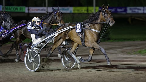 Shackhills Gambler, Tuukka Varis