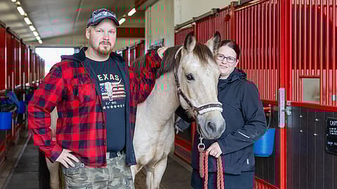 Heli ja Mika Leminen ovat Korpikylän Ratsastuskeskuksen uudet omistajat. Vektra toimii ratsastuskoulun opetushevosena.