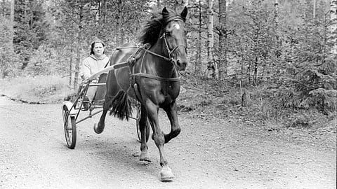 Tuulenpuuskan kanssa harjoituslenkillä vuonna 1993.