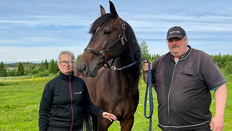 President Lindy on Terhi ja Ari Aatsingin silmäterä.