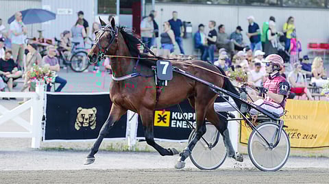 Gallinago Snipes rattaillaan Santtu Raitala