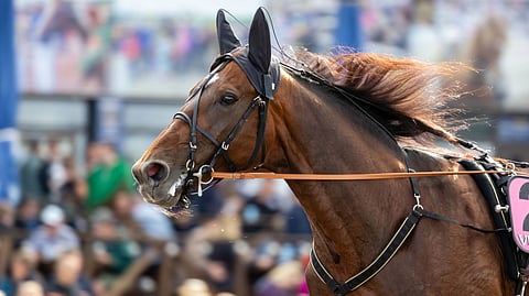 Massimo Hoist aloittaa 40 metrin takamatkalta.