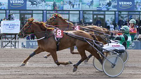 Zähikäinen, Markus Dahlström