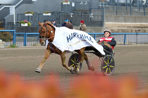 Taarin Tahti vei Kouvolan nousijadivisoonan finaalin Matti Juutilan valmennuksesta. Espon sisarukset ostivat hevosen, ja he vaikuttavat nimenomaan Kouvolan seudulla.