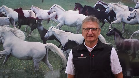 Piberissä toimiva opas Peter Zimmermann ehti jäädä jo eläkkeelle, mutta ihastui sitten lipizzojen maailmaan ja perehtyi asiaan perinpohjaisesti. 