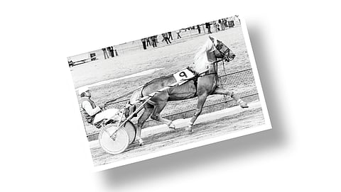 Kuva-arvoitus – tunnistatko kuvan hevosen ja ihmisen?