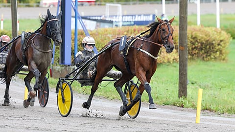 Night Sky Eagle, Tuukka Varis