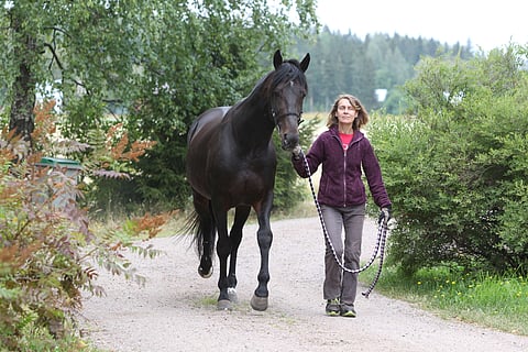 The Bosses Lindy ja Seija Korte vuonna 2019.