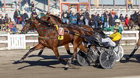 Mondriaan Boko rattaillaan Matti Nisonen