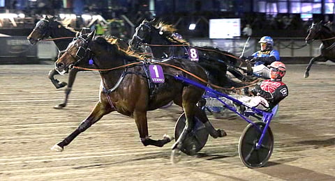 In Love Mearas hallitsi kärkipaikalta. Turussa kävi huonommin.