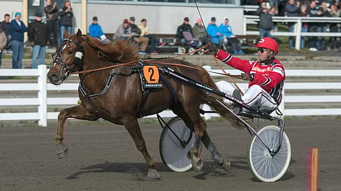 Vixus, Janne Soronen