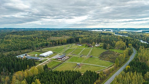Timo Hulkkosen hevostila ilmasta käsin nähtynä,