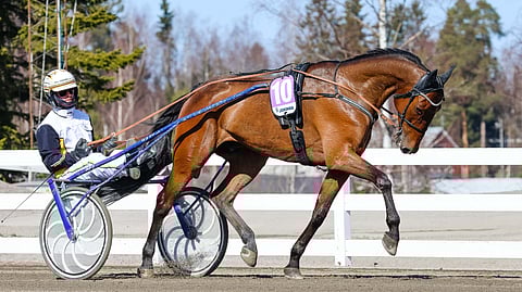 Callela Ikaros, Iikka Nurmonen