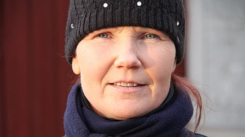 Taikku Nurmen Sydänkäpynen on Saksasta Suomeen muuttanut hollsteinertamma. 7-vuotiaalla ei ole vielä paljoa kokemusta, mutta rahkeet riittivät silti voittoon. 