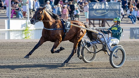 Endurance Boy, Hannu Torvinen