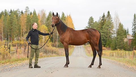 Too Moni For You (Affogato-Sweet n Sour) kuvattuna myyntiä varten.