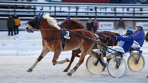 Cooleri, Jarmo Saarela