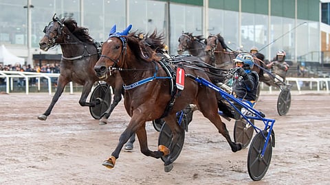 A Fair Day Oscar Ginman