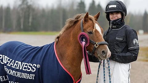 B-ponien nelivuotismestaruuden vei ajalla 2.00,5/1640 metriä Mr. Brightside ja Sini Räisänen.