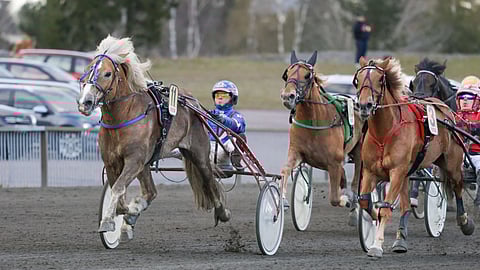 Tuulen Viljo rattaillaan Olli Koivunen