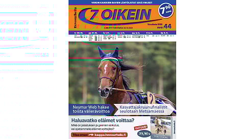 7 oikein -lehdessä julkaistaan Suomen totoravien käsiohjelmasivut vihjeineen ja tallikommentteineen torstaista seuraavaan keskiviikkoon sekä Ruotsin pääpelien käsiohjelmasivut torstaista maanantaihin.