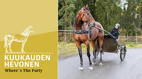 Katariina Nurmonen antaa Where's The Partylle tiettyjä vapauksia.