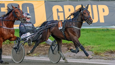 Ravihevonen Midas Match rattaillaan Joni-Petteri Irri 