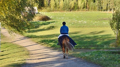 Tie Horse Show´hun on vielä pitkä, mutta kukapa olisi uskonut vielä kesällä, että minulla on nyt oikeasti mahdollisuus päästä tavoitteeseeni!