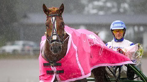 Tuli Keila, Esa Holopainen