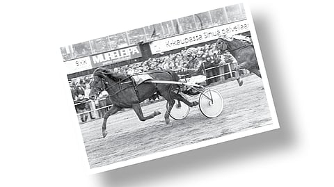 Kuka on kuvan parivaljakko?