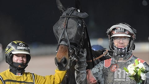 Ravit Solvalla