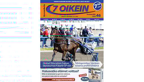 7 oikein -lehdessä julkaistaan Suomen totoravien käsiohjelmasivut vihjeineen ja tallikommentteineen torstaista seuraavaan keskiviikkoon sekä Ruotsin pääpelien käsiohjelmasivut torstaista maanantaihin.