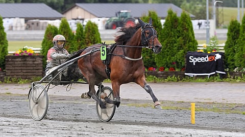 Stop The Press, Tapio Perttunen