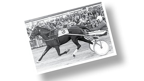 Kuva-arvoitus: Tiedä tai arvaa mikä parivaljakko?