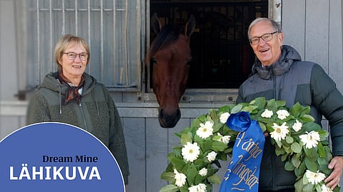Christer ja Kristina Nordin ovat saaneet elää hevosenomistajan unelmaa yhdessä Dream Minen kanssa.