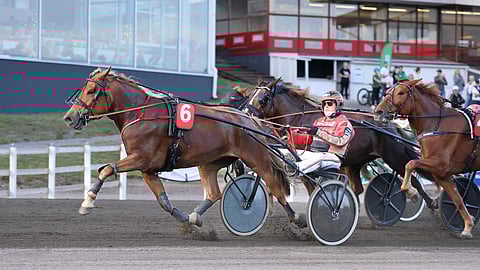 Tuomas Pakkanen tuntee Akvarellin ohjat jo pitkältä ajalta.